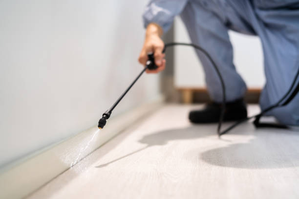 Licensed Pest Control service in Three Rivers, CA - Show Me Pest Control