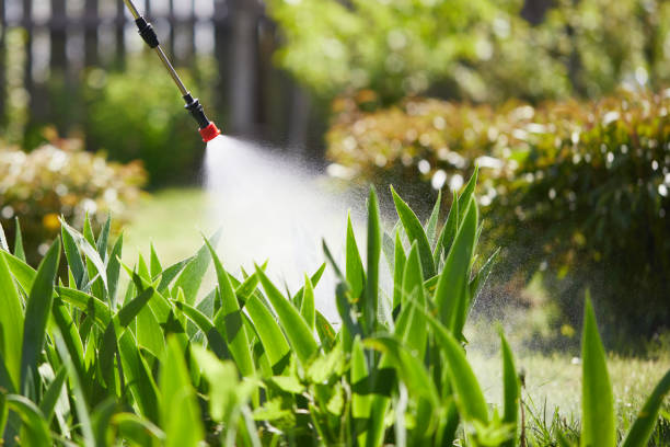 Tamper-Resistant Bait Stations for Rodents in Three Rivers