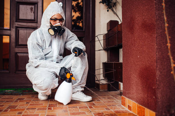 Attic and Crawl Space Rodent Treatment in Three Rivers